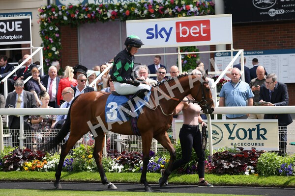 yr10062022r1-8 - Race 1 2.00pm Constant Security Gentlemen Amateur Riders Stakes