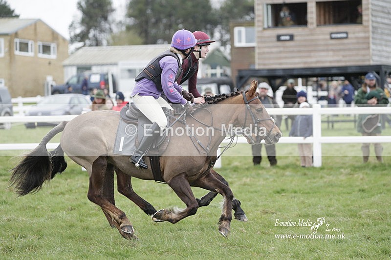 PtP 260323 0089 - New Forest Hounds Point-to-Point Larkhill 26/03/23