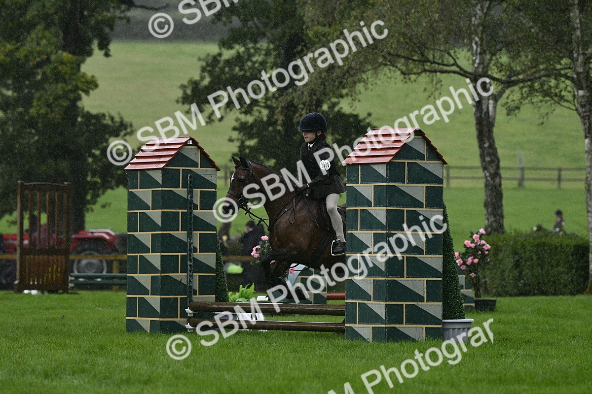 SBM_35500 - S30 - Nursery Stakes Working Hunter Pony
