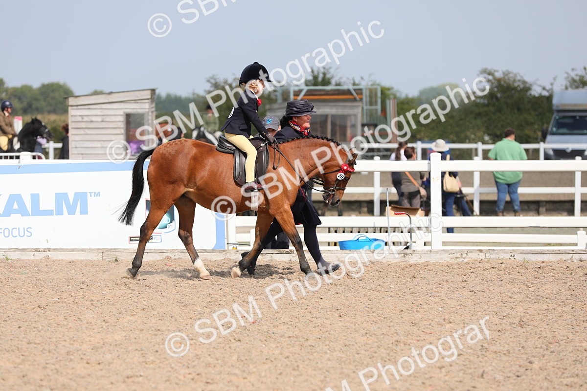 SBM_14059 - Class 309 Lead Rein Pony