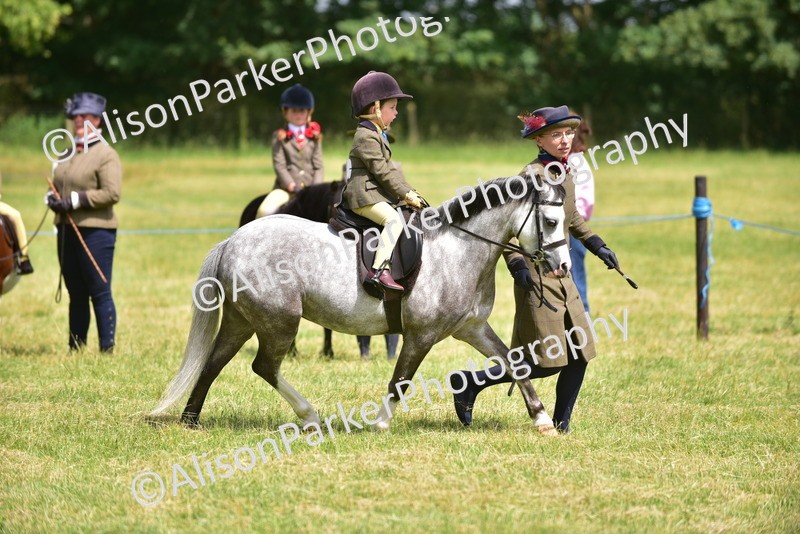 20260614-1274 - Class 11a - Lead Rein Pony (Unplaited)