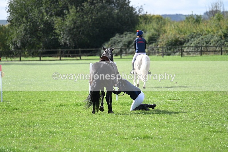 WJ7_8546 - 60cm Pairs