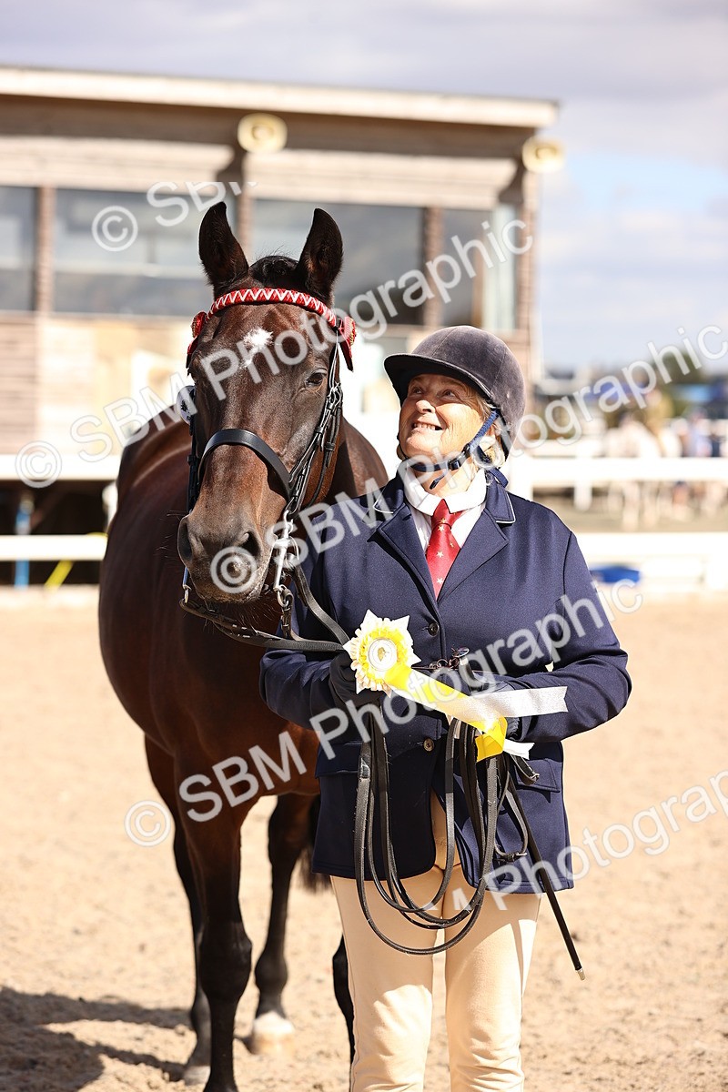 SBM_14331 - Class 411 - Prettiest Mare (IH OR Ridden) Adult