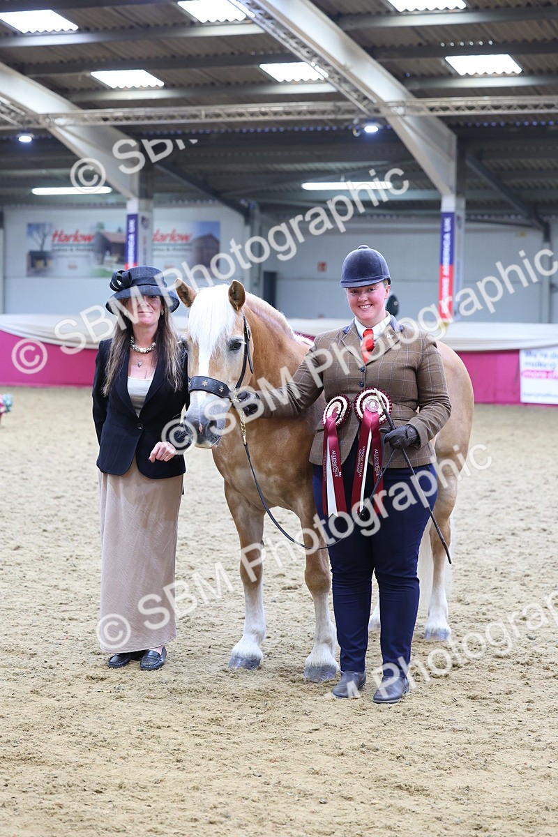 SBM_21199 - Class 902 - Supreme Final IH Veteran