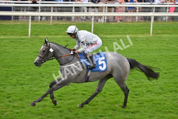 yr24072021r4-12 - Race 4 3.50pm Sky Bet Britain's Most Popular Online Bookmaker EBF Restricted Novice Stakes (Plus 10