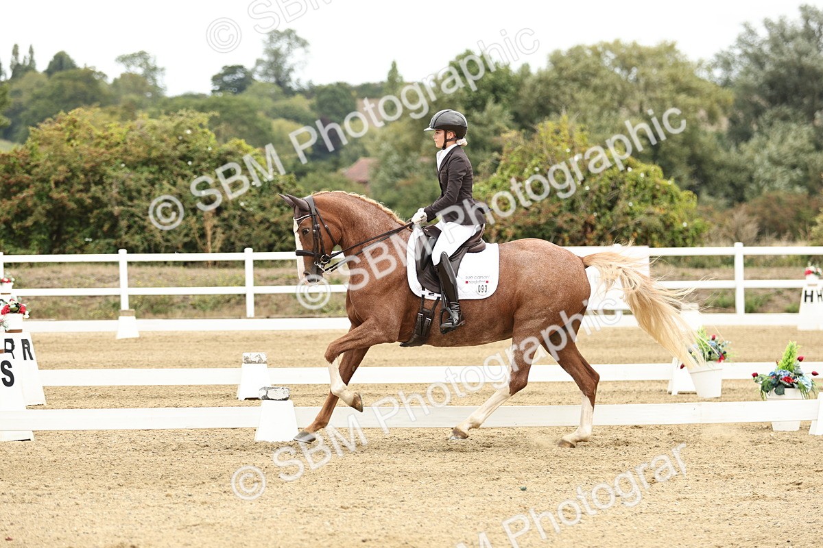 SBM_006547 - Class 21 - Medium 5 Bronze - 9.08-9.48