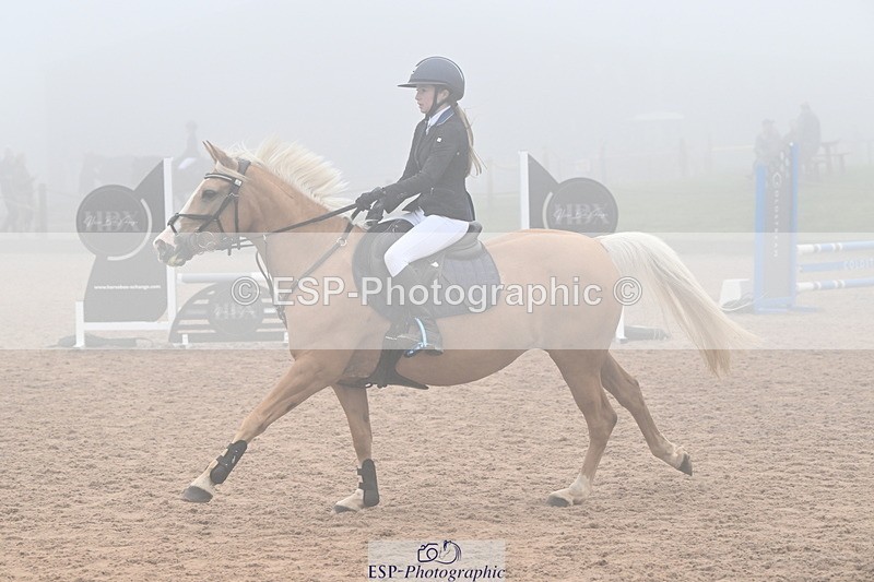 240907A-101246-00725 - Cls 2 Pony Small Team 70cm & 80cm