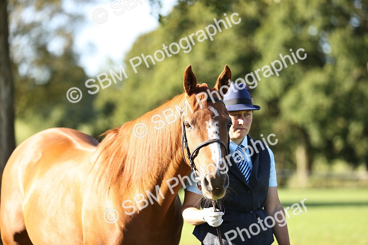 SBM_15786 - S1 - TSR in Hand Horse & Pony Showing