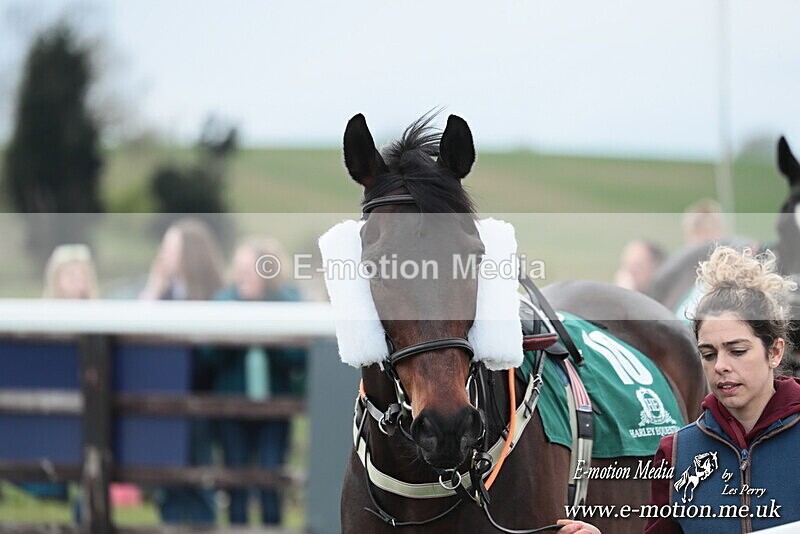 PtP 130425 6 - Edgecote Races 13/04/25
