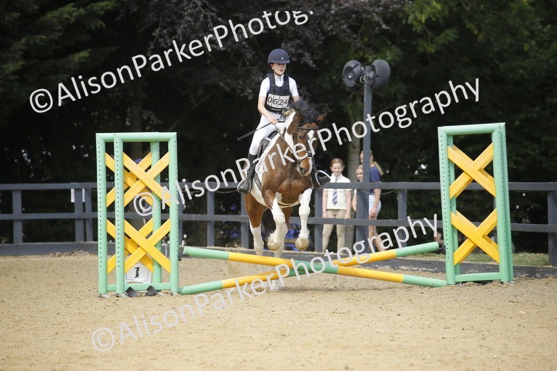 20250622-3876 - 50cm