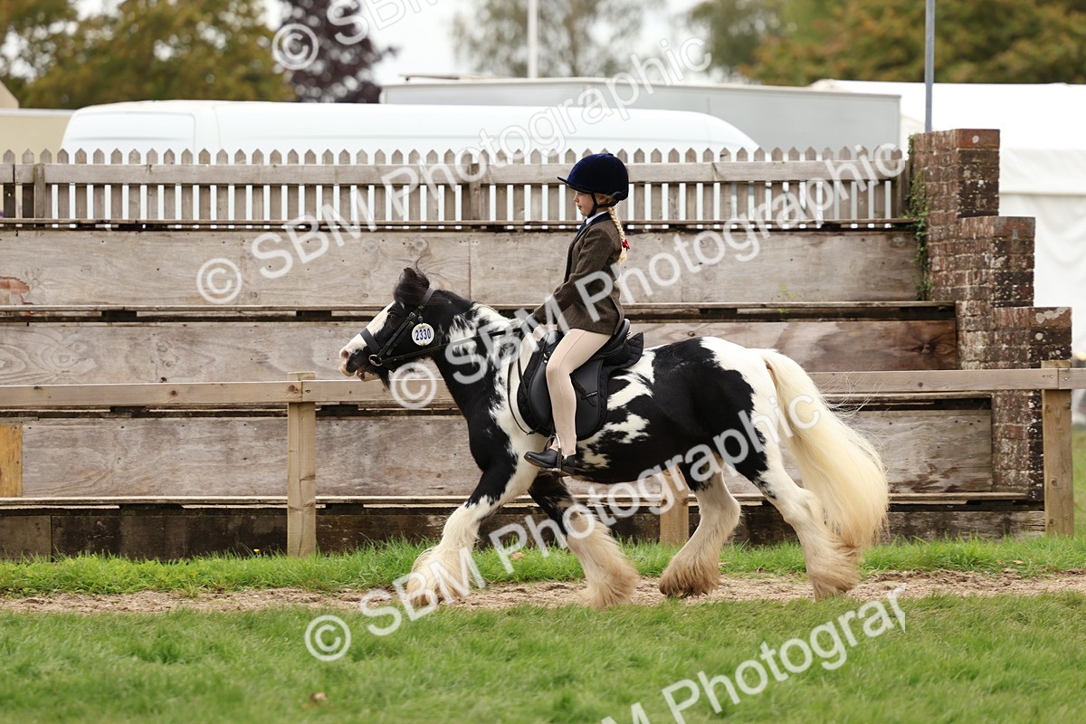 SBM_64530 - S58 - Coloured Pony Ridden