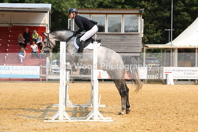 3E7A1562 - Class 4: Senior British Novice/90cm open