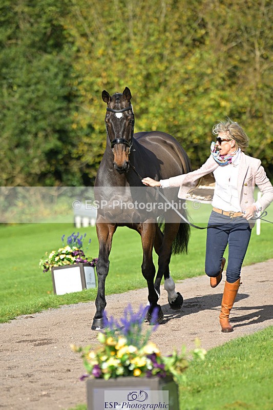 241023-130800-00087 - 056-Claire.Deuten-KILBUNNY.BLUE.BIRD