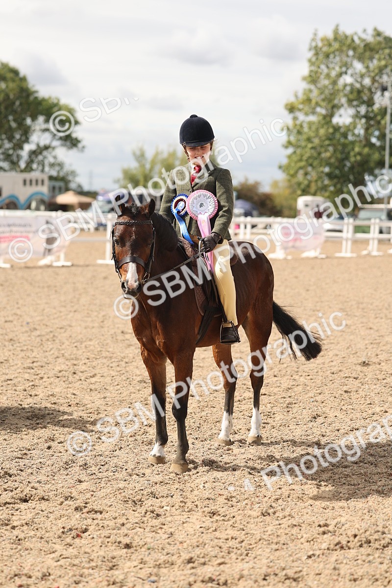SBM_15926 - Class 310 - First Ridden Pony