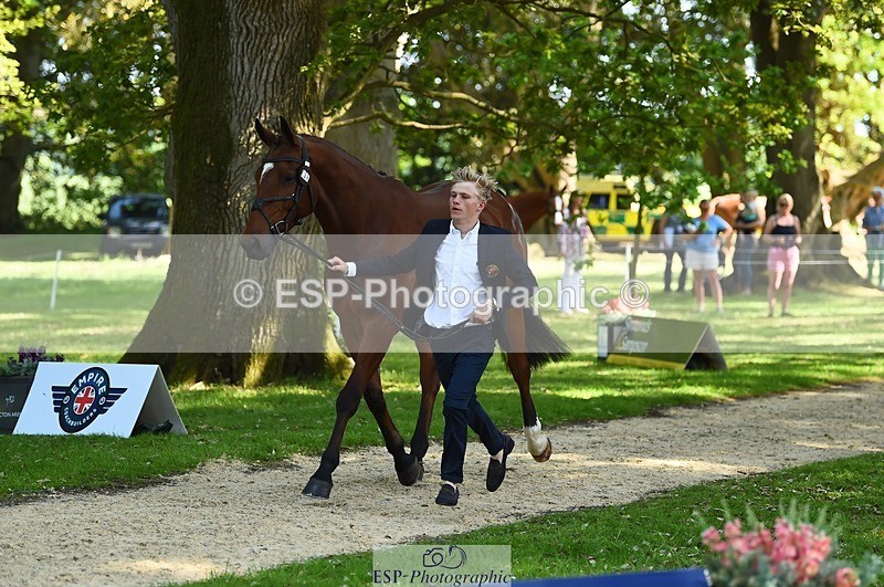 230524-160946-00723 - 264-BALLADEER_JUST_FOR_KICKS-Ellie_Healy-WEDTrotUp+DR