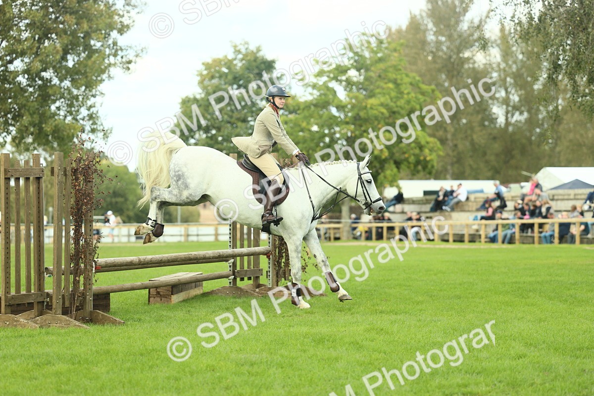 SBM_47977 - S32 - Novice & Newcomers Working Hunter