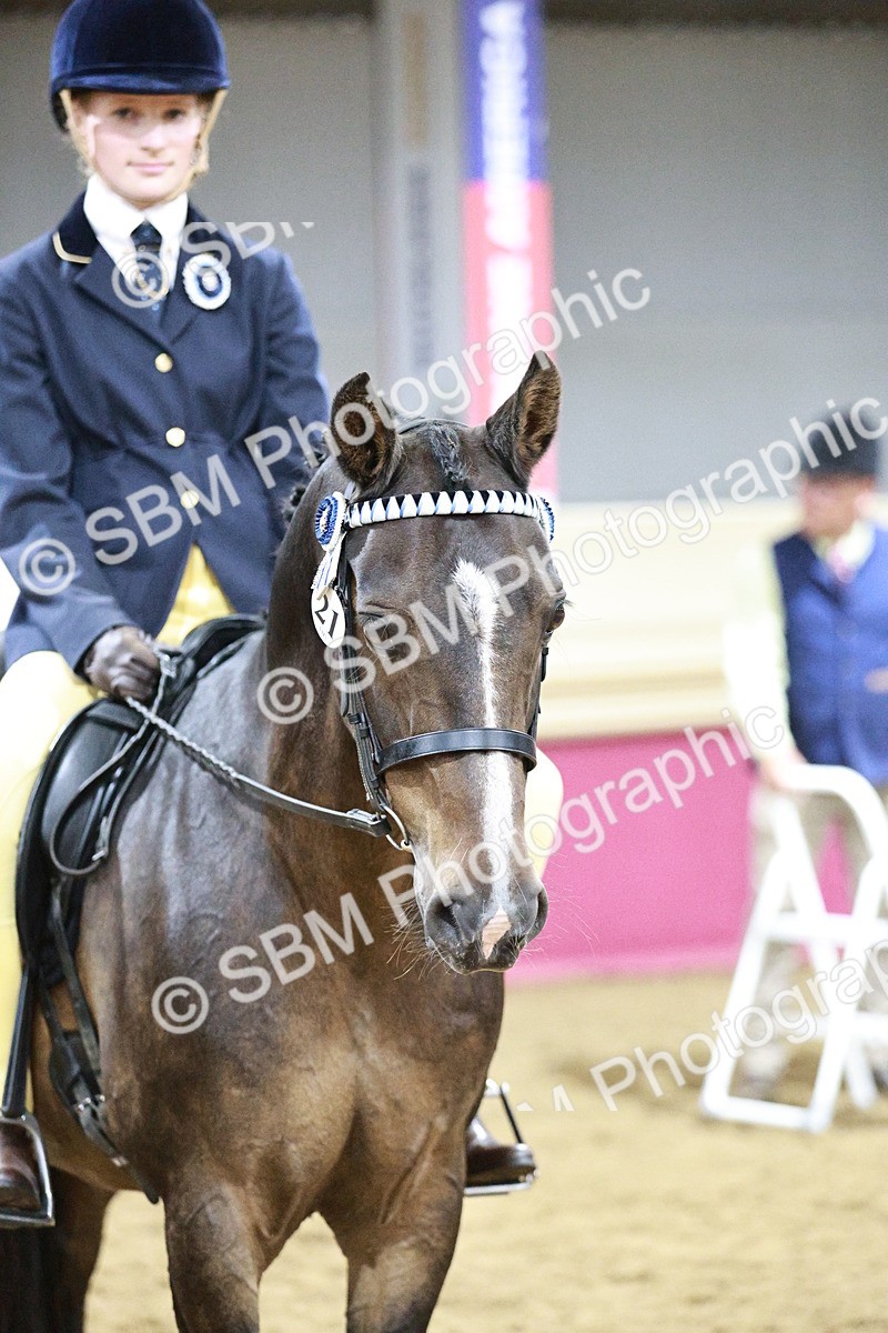SBM_08081 - Class 11R - Regional Ridden Veteran