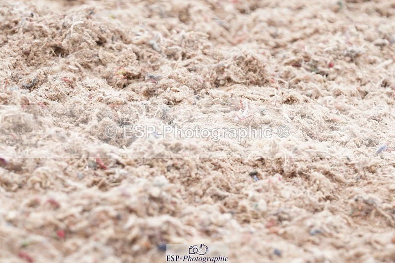 250622-140206-16100 - Cls 60 Freestyle PSG-Young Rider Inc Presentations