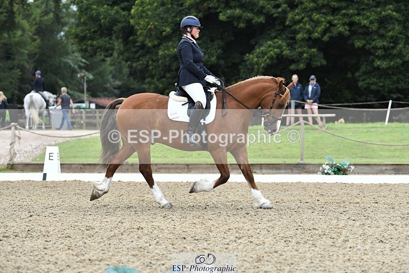 230812-091807-02753 - Cls 6 Novice Silver Start to 10.20 break