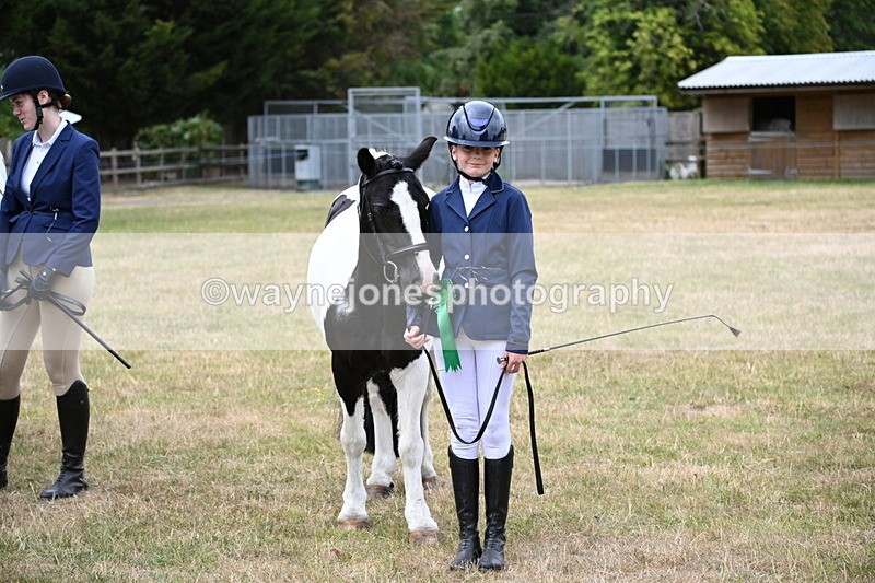 WJ6_4496 - Class 10 Coloured In-hand