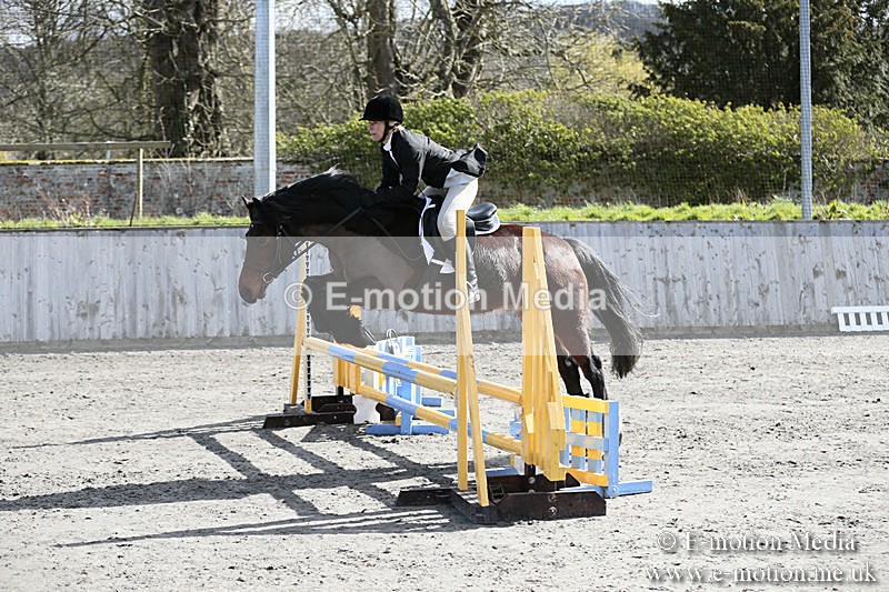 BVRC SJ 170319 254 - Bourne Valley Riding Club Showjumping 17/03/19