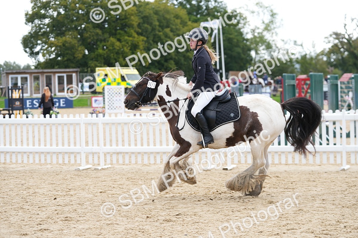 SBM_21373 - J49 - Open 50cm