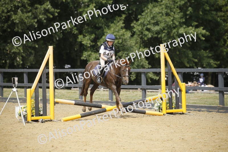 20250622-4096 - 50cm