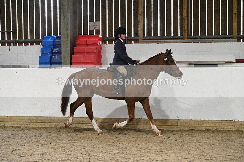 WJ7_4107 - Class 17 Ridden Cob