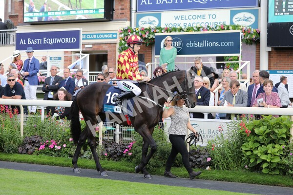 yr19082022r6-19 - Race 6 4.45 pm British Stallion Studs EBF Convivial Maiden Stakes