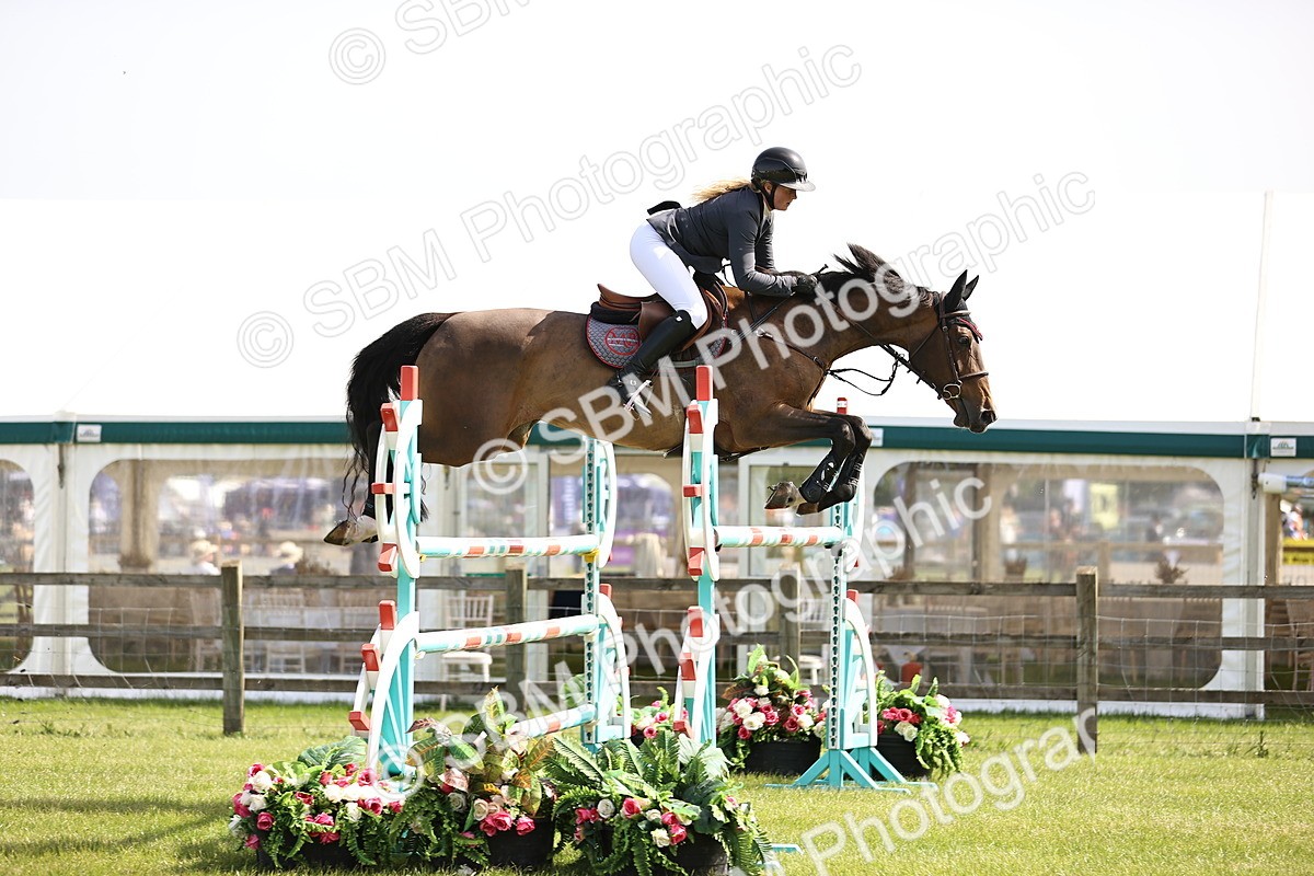 SBM_02958 - Class 201 - British Horse Feedds Speedi Beet HOYS Grade C