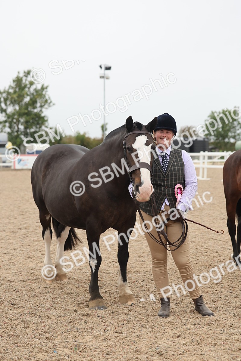 SBM_19903 - Class 318 - IH Part Bred Horse-Pony