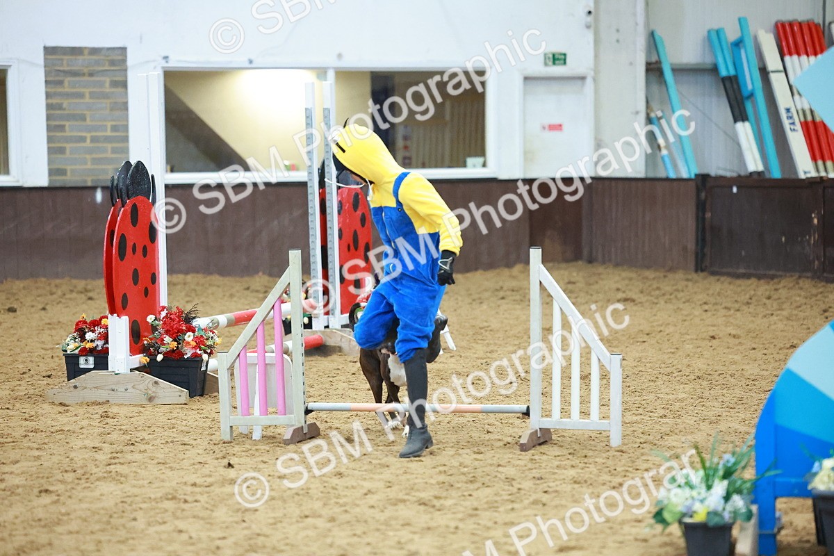 SBM_002234 - Class 3 - Horse & Hound (60cm)