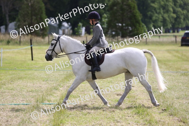 20260614-0560 - Class 20 - Beginners Working Hunter Pony