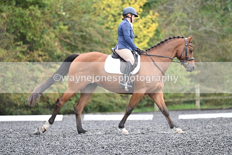 WJ7_4365 - Time 11:43 to 12:09