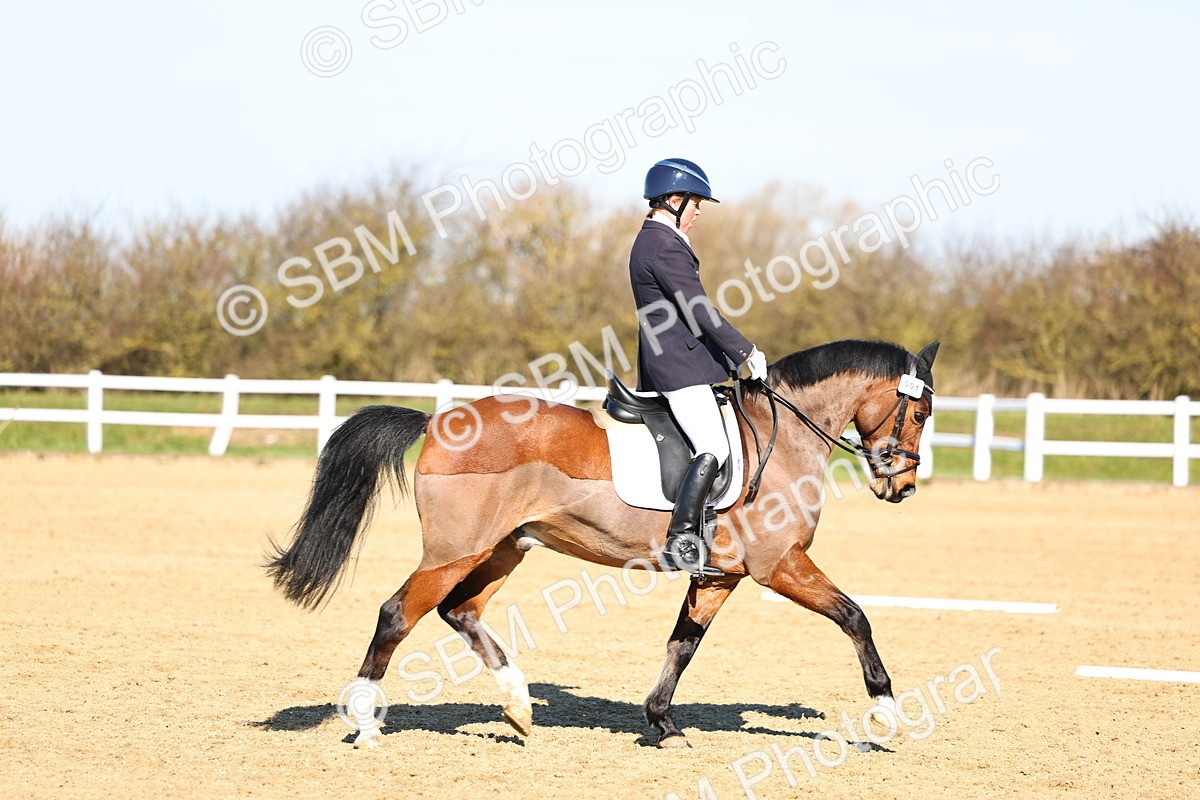 026A8390 - Class 5 - Novice 5