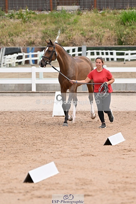 250716-142809-01097 - Trot Up 1.30 to 2.30