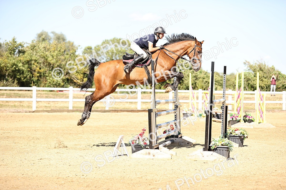 SBM_015609 - Class 16 - Senior foxhunter - 1.20m Open