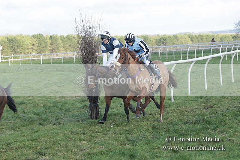 PtP 011219-0193 - Hursley Hambledon Hunt Point-to-Point 01/12/19