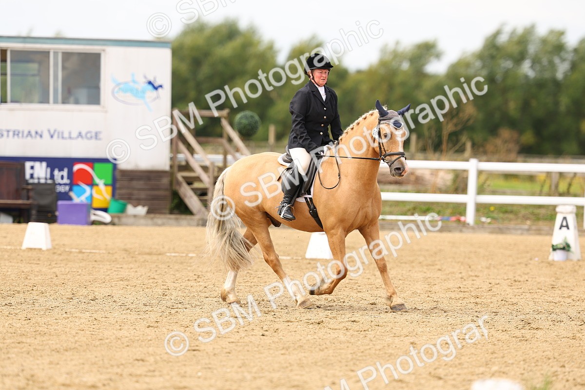 SBM_012231 - Class 2 - Prelim 19 11.39-12.56