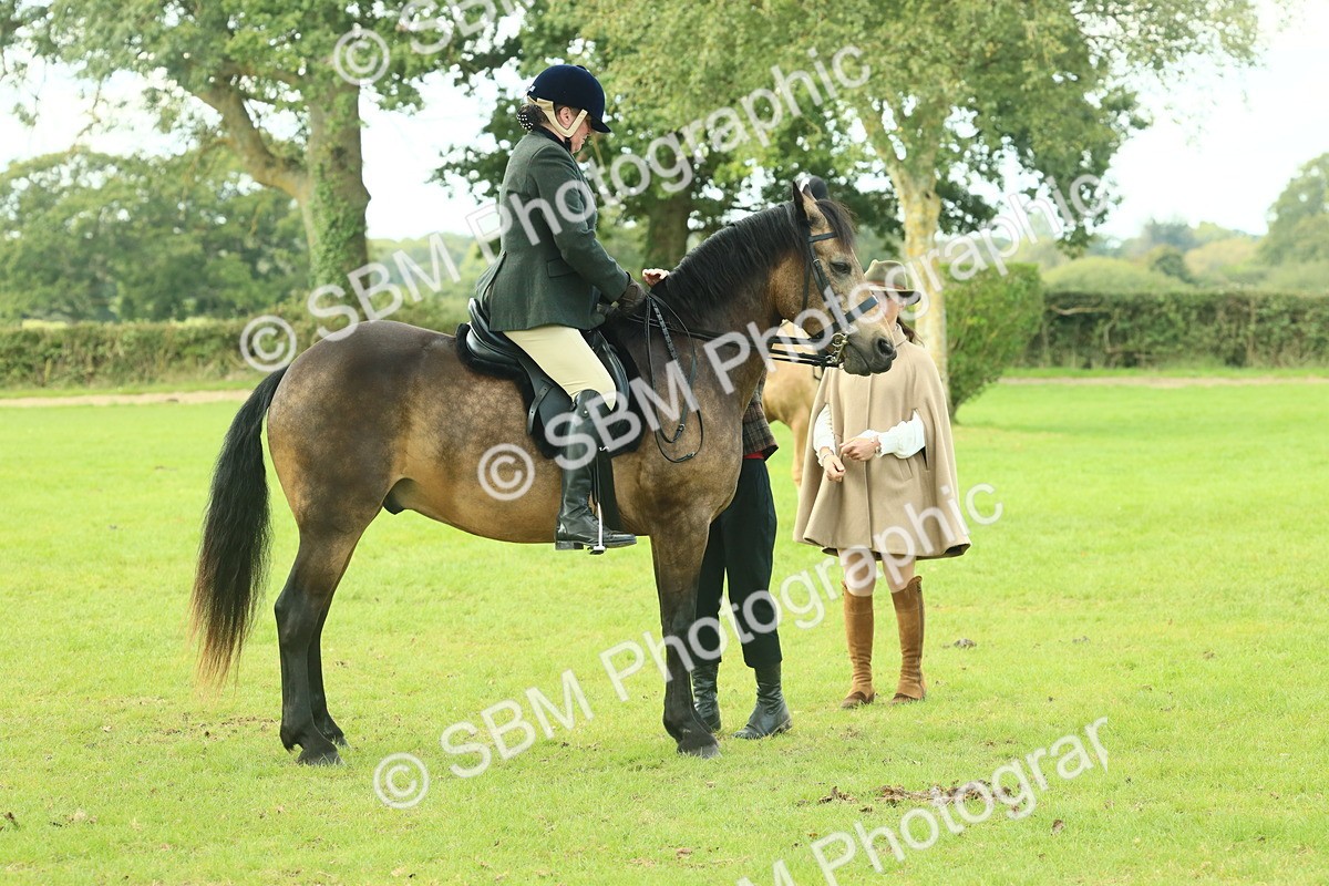 SBM_62623 - S63 - Other Coloured Horse Ridden