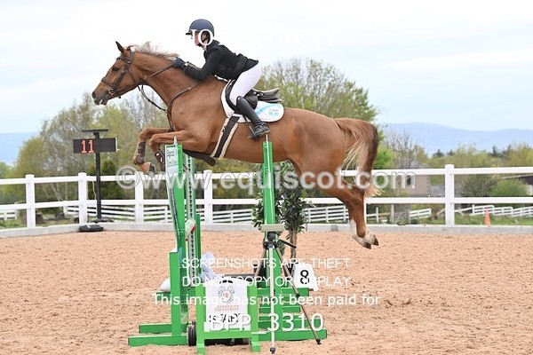BPP_3310 - CLASS 13 - SAT - SENIOR BRITISH NOVICE / 90CM OPEN