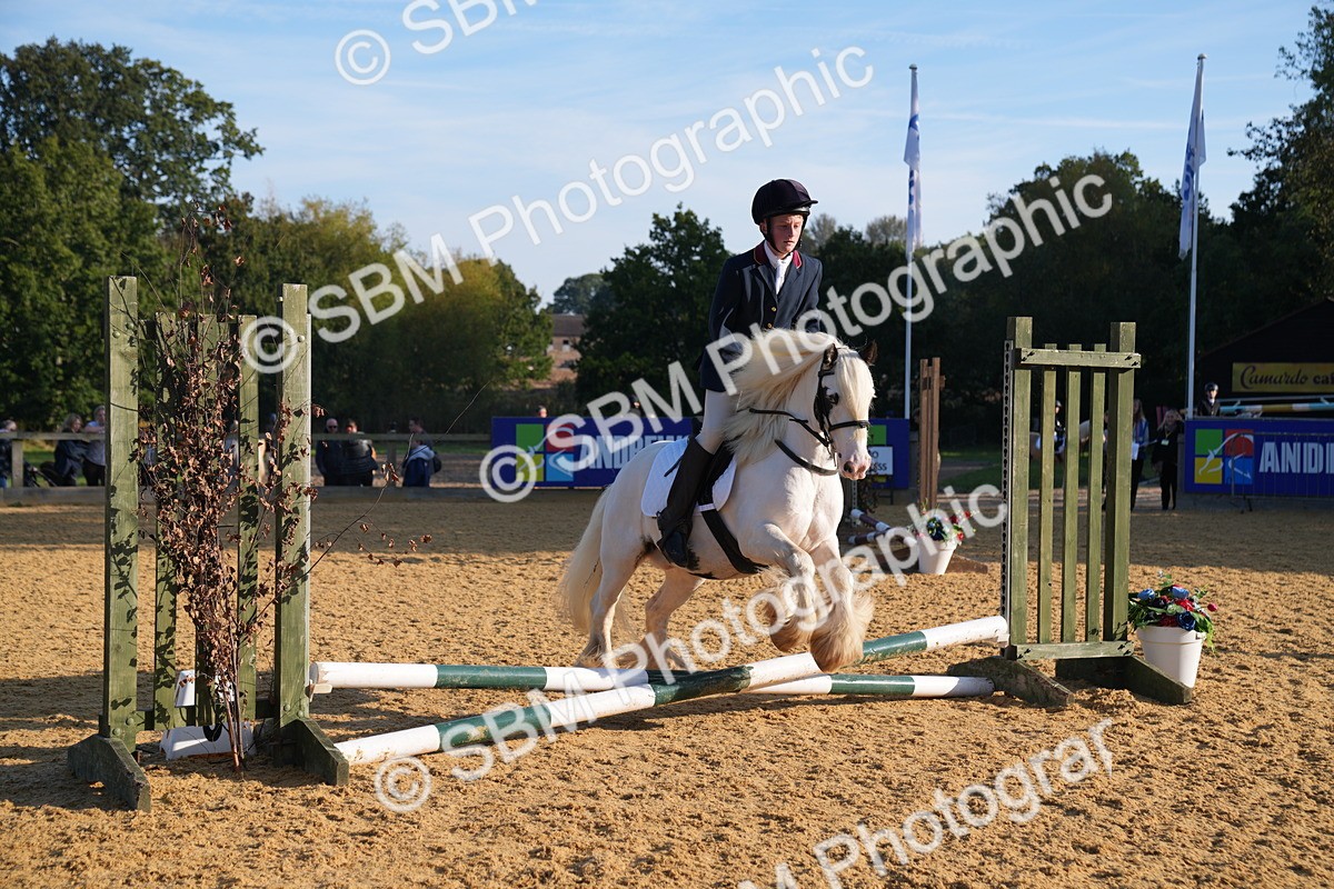 SBM_59036 - J63 - Minis Clear Round 30cm 40cm