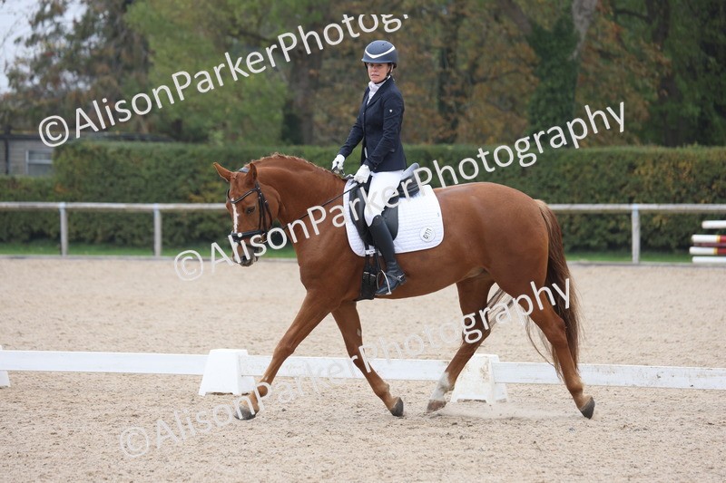 20251012-0650 - Class 5 - Elementary 5