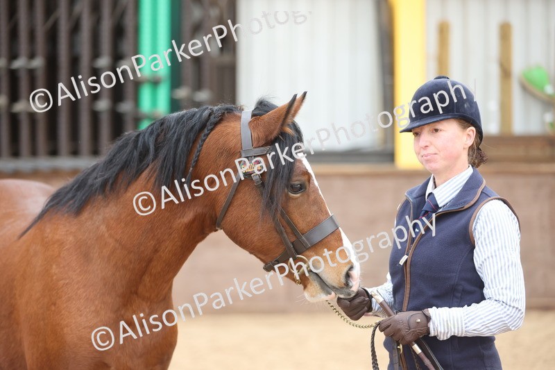 20251109-0939 - Class 26 - 2 and 4 Year Olds