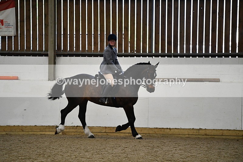 WJ5_7771 - Class 13 Ridden Part Breed