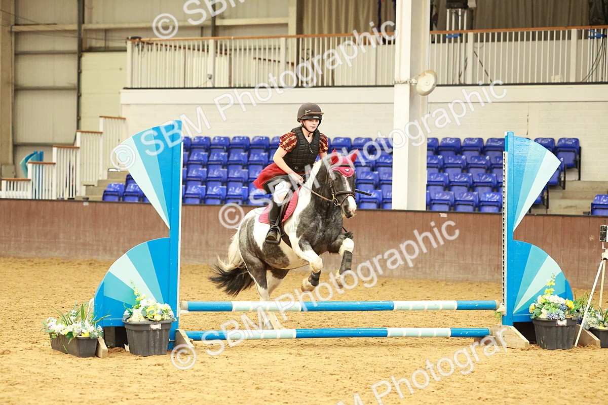 SBM_000729 - Class 2 - 50cm