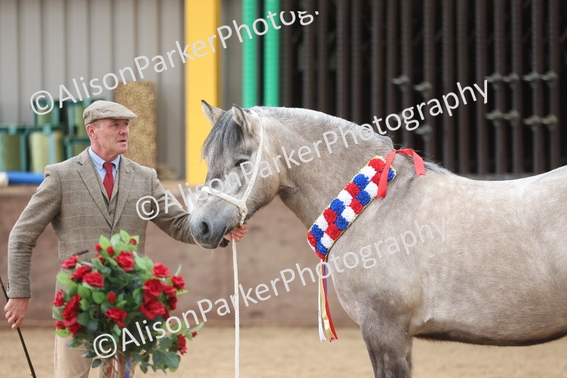 20251109-1244 - Supreme Championship