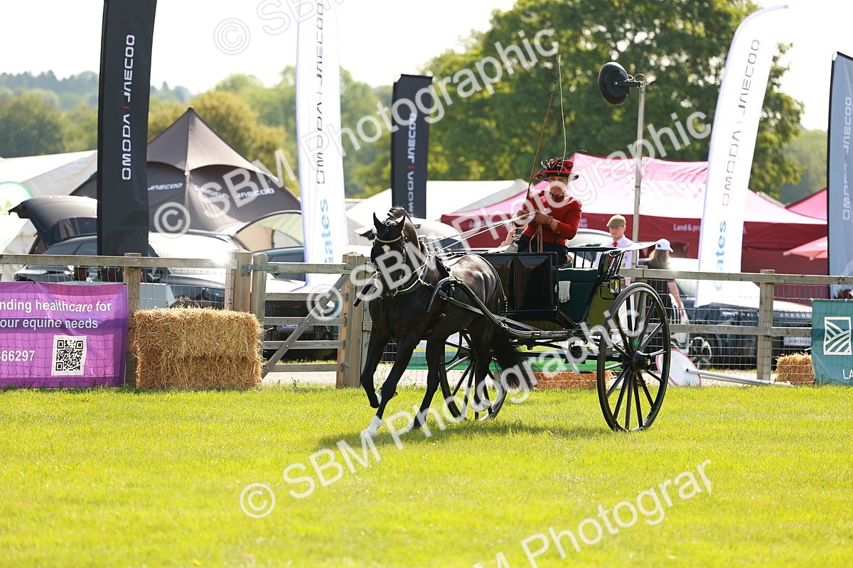 SBM_01217 - Class 2-4 - HOYS Private Driving