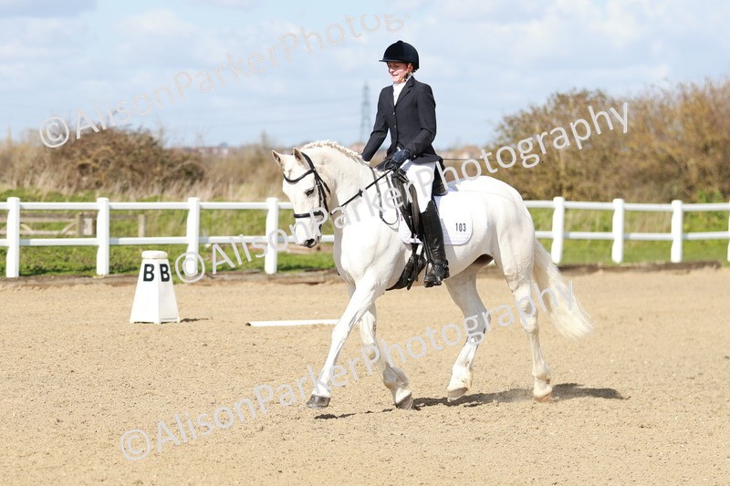 20260314-2960 - DR3 - Prelim 1