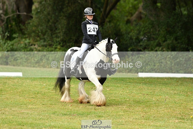 250820A-122538-05595 - 12 to 13.00